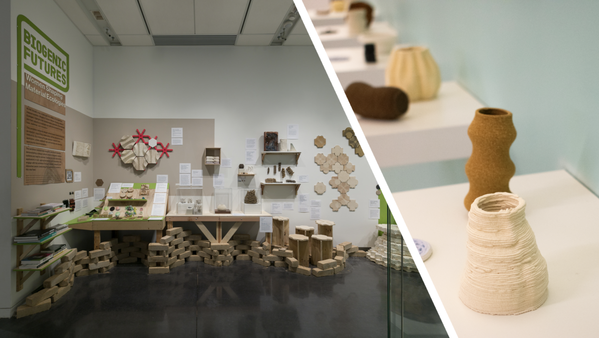 Dr. Fiona Bell’s work appearing at two exhibits in NYC and Colorado!